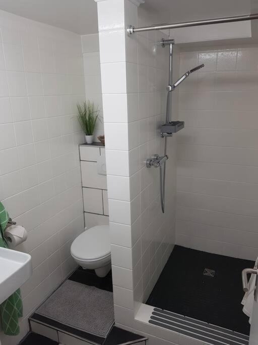 Ferienwohnung Bela, Naehe Nuerburgring Luxem Exteriér fotografie